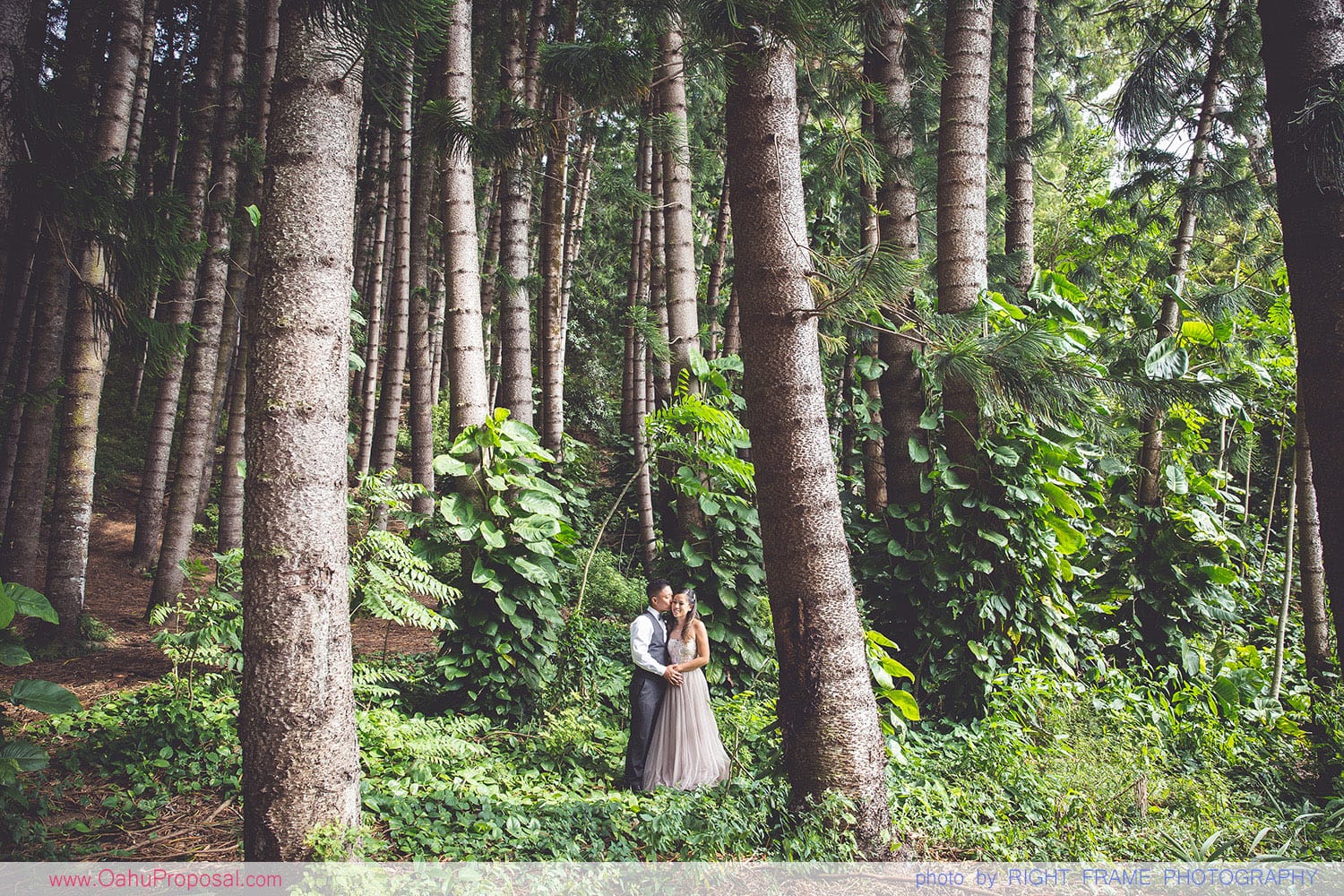 Oahu Engagement Photos Ideas Hawaii Honolulu Photographer