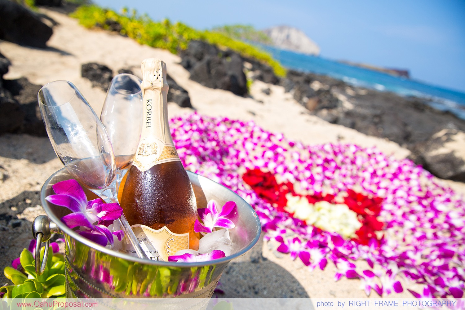 041_Oahu Proposal Ideas Hawaii Waikiki Photographer Pictures