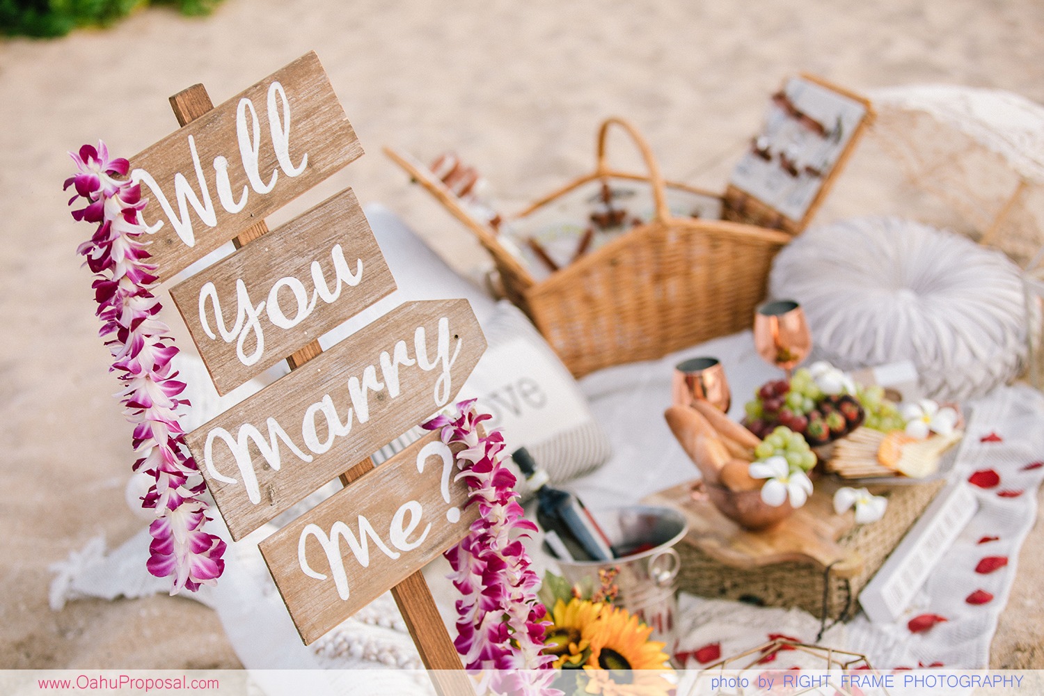 Oahu Hawaii Picnic Proposal Surprise Engagement Beach Ideas