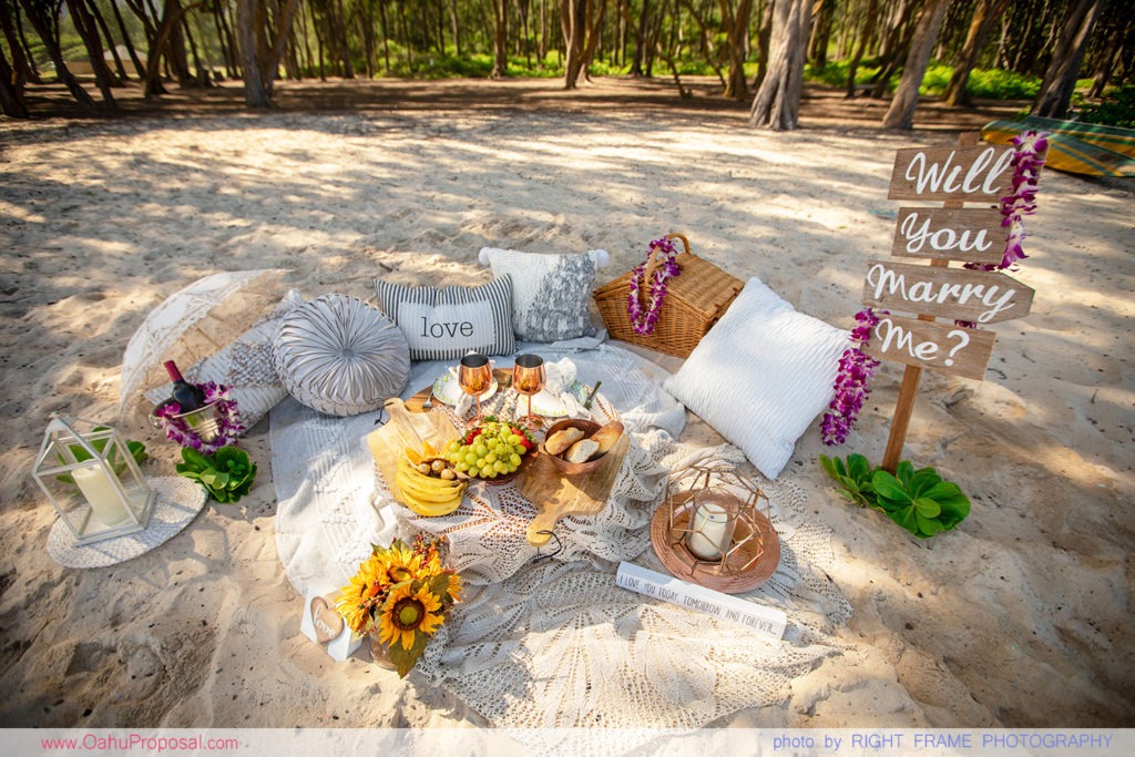 A Romantic Picnic Proposal at Waimanalo Beach, Hawaii Hawaii Proposal
