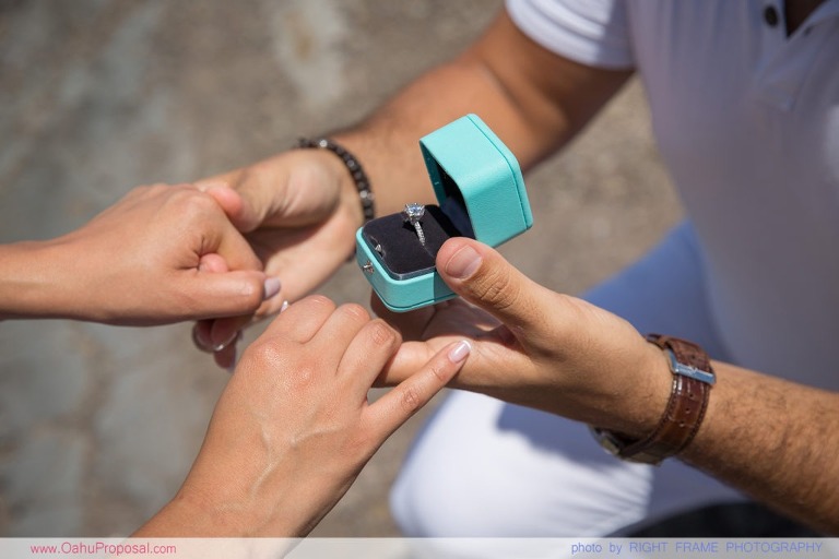 Hawaii Marriage Proposal at Makapu'u Lookout