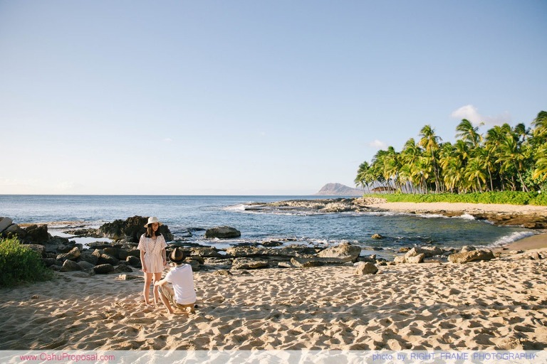 Hawaii Proposal on the Beach