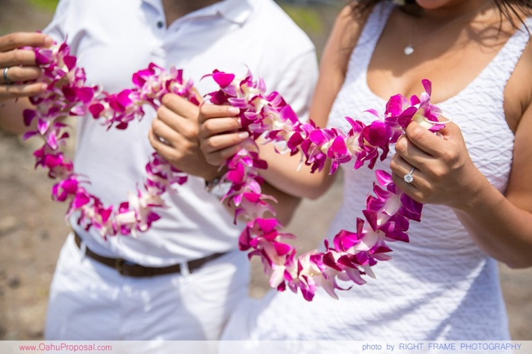Hawaii Marriage Proposal at Makapu'u Lookout
