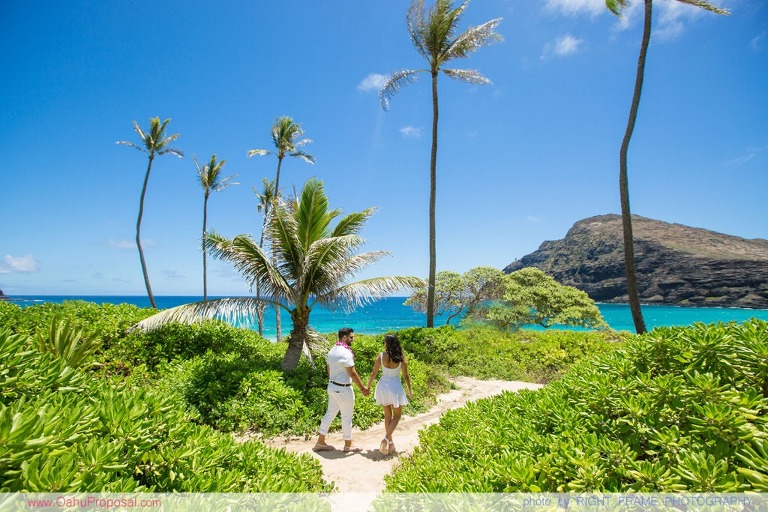 Hawaii Marriage Proposal at Makapu'u Beach