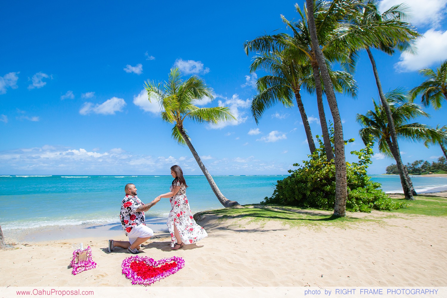 Surprise Proposal In Honolulu Kahala Beach Hawaii Surprise Proposal In Honolulu Kahala