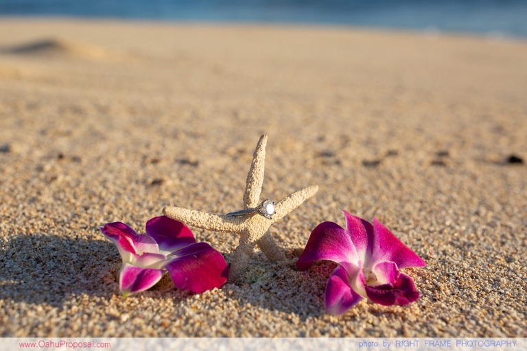 Romantic Sunset Beach Proposal Yokohama Bay Hawaii Oahu