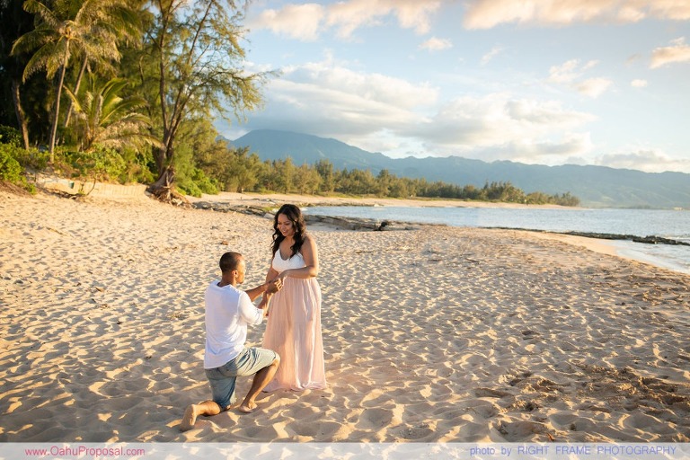 Sunset Surprise Proposal during a Family Photoshoot in the North Shore Oahu Hawaii