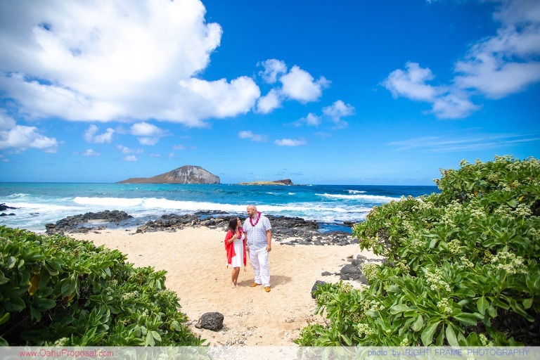 Private Oahu Beach Proposal Makapuu Beach Hawaii