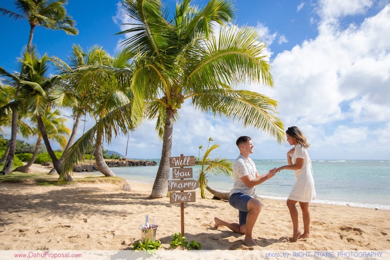 Destination Beach Proposal at Waialae Beach Park Oahu