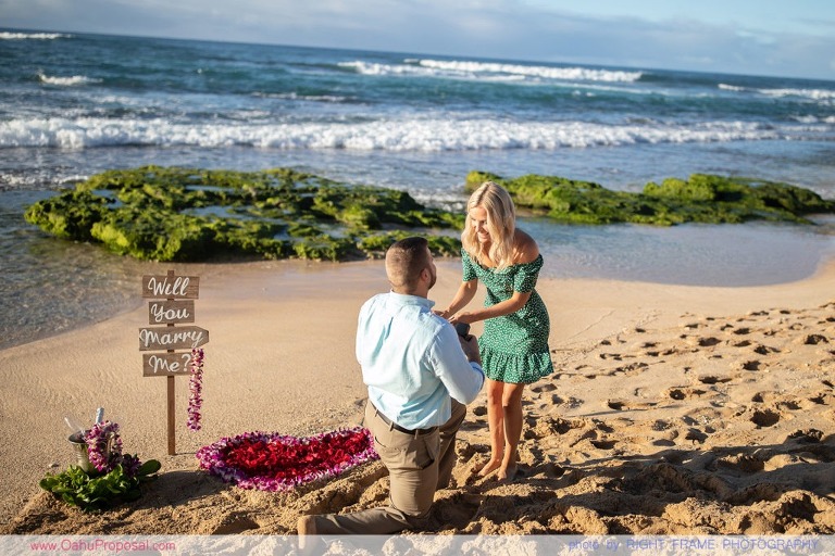 A Last Minute Magical Proposal on the North Shore of Oahu