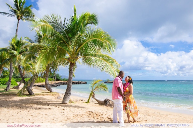 Surprise proposal under Palm Trees on Oahu Hawaii