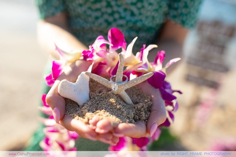 A Last Minute Magical Proposal on the North Shore of Oahu