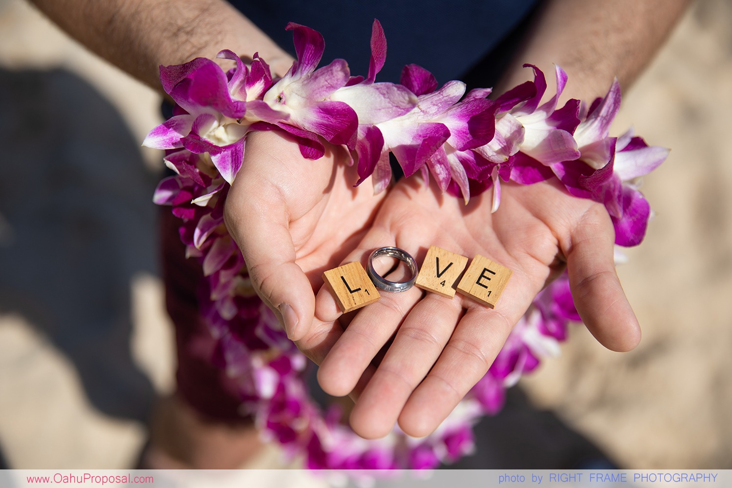 Same Sex Marriage Proposal On Oahu Hawaii 