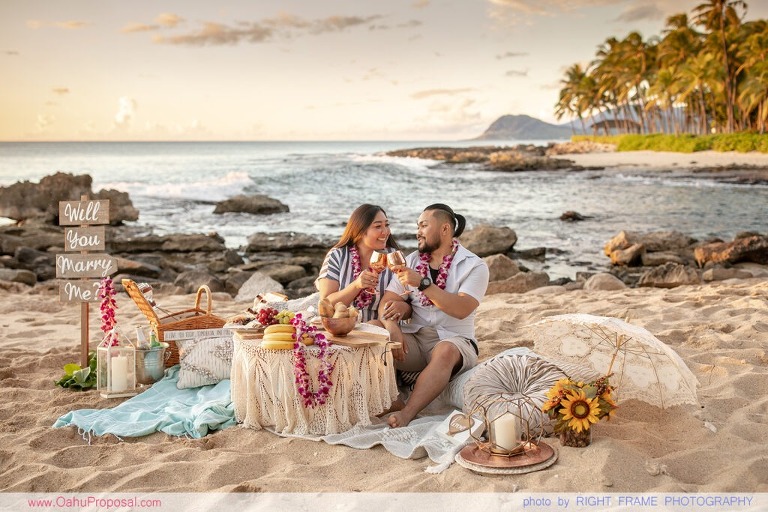 Oahu Proposal Photographer Hawaii Picnic