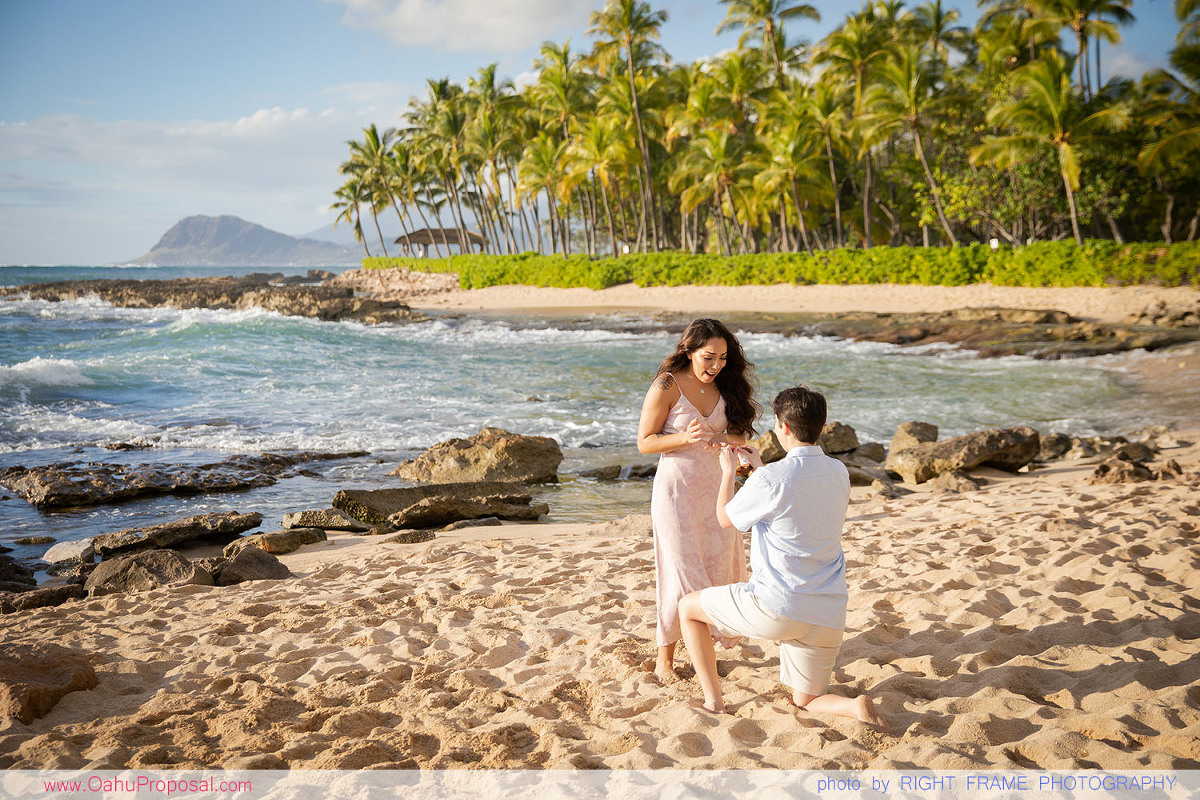 Same Sex Couple Proposal Hawaii Proposal Oahu Photographer Packages and Places Ideas photo pic