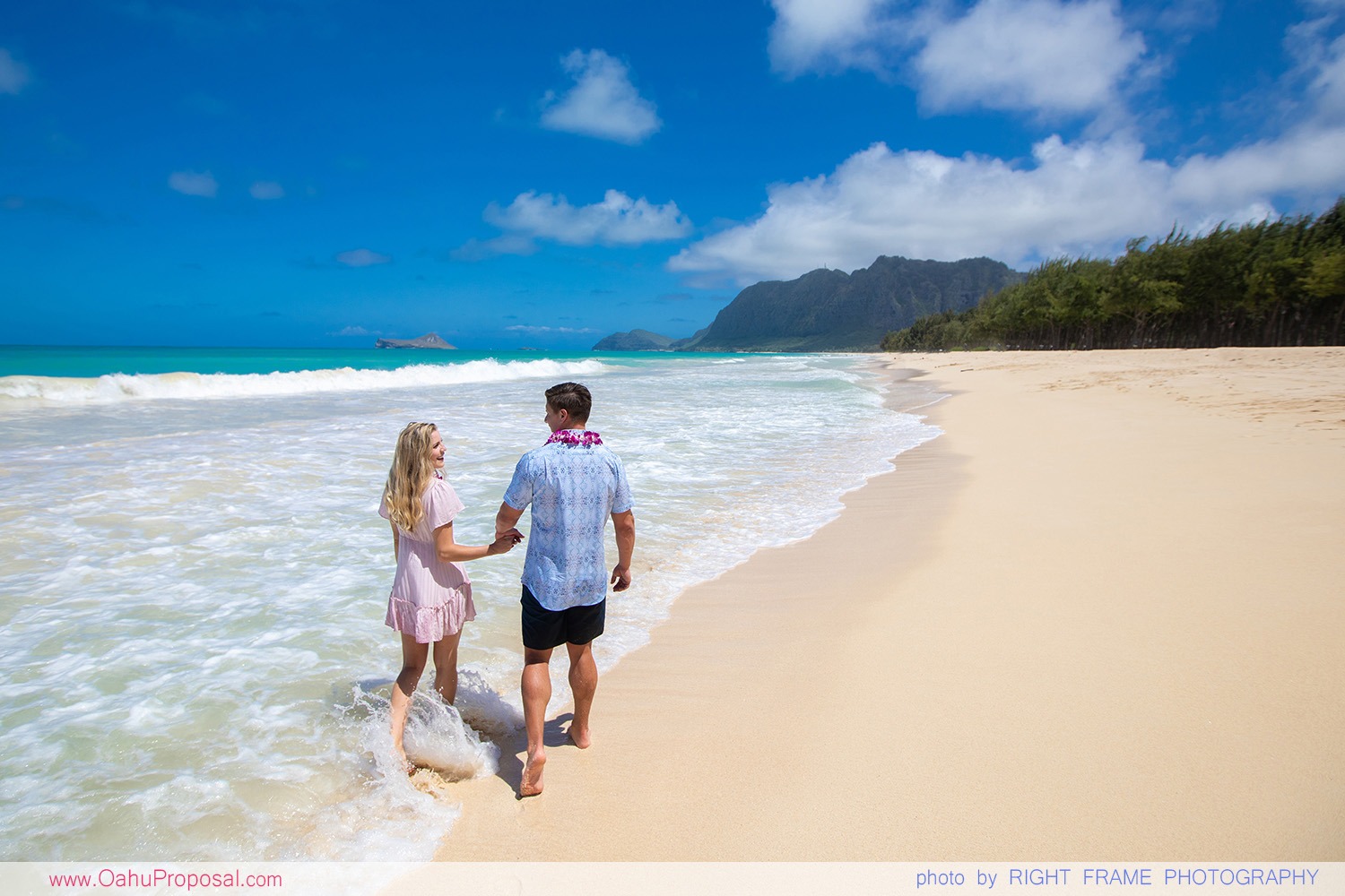 Sherwood Beach Marriage Proposal - Oahu Engagement Photographer