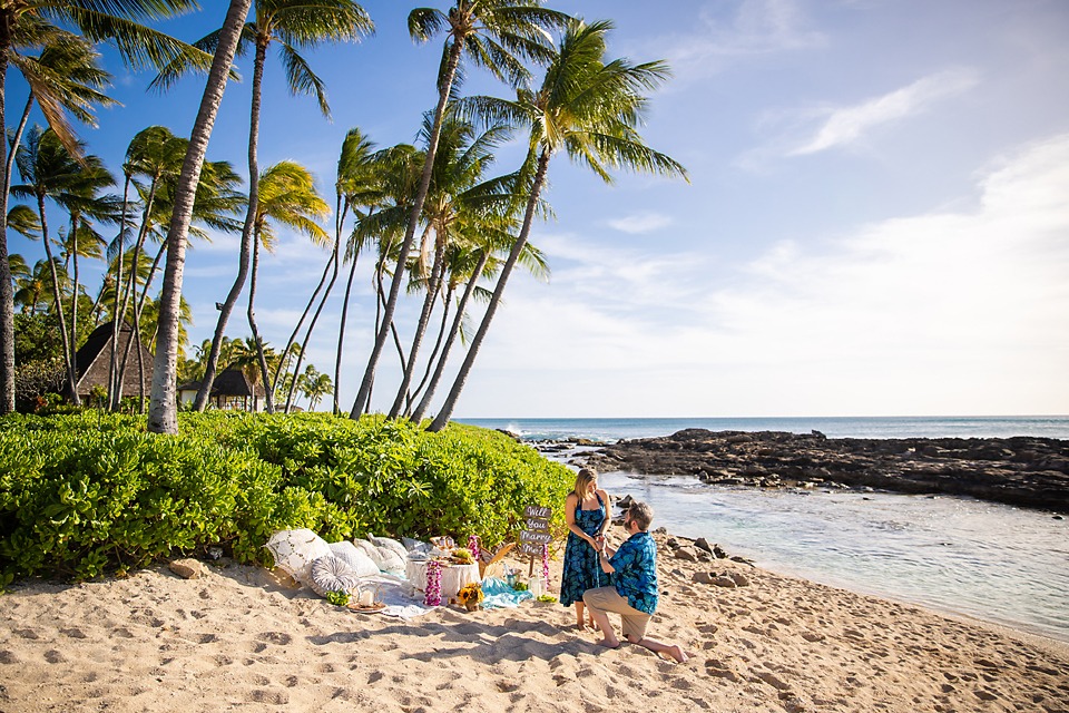 Oahu Picnic Proposal Hawaii Photographer Planner Ideas Paradise Cove Beach